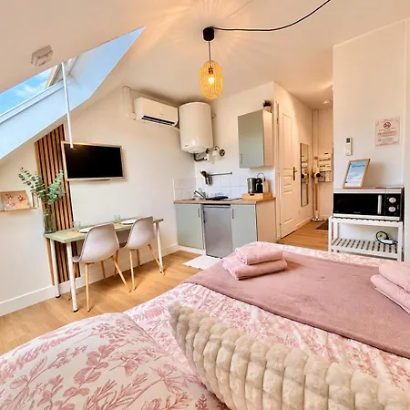 Le Saint Jacques Belle étoile Climatisé Hyper-centre Apartamento Grenoble